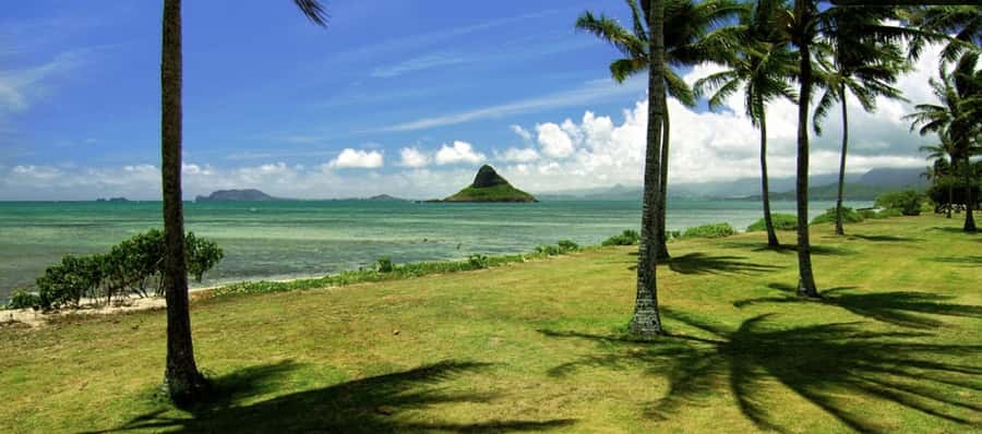 Pearl Harbor and Scenic Oahu Private Tour - From Waikiki or Kaneohe to Pearl Harbor, minus the stress