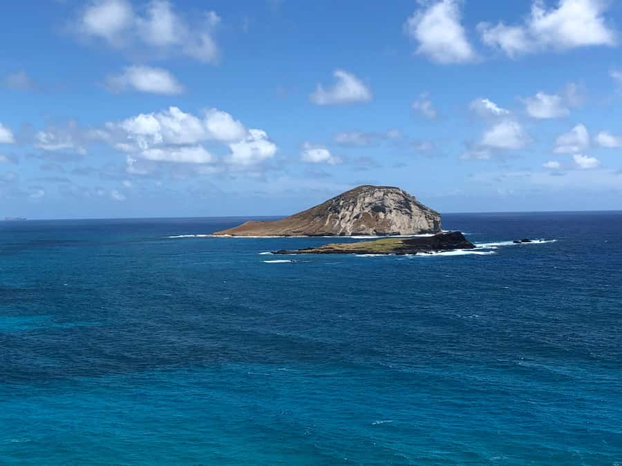 Pearl Harbor and Scenic Oahu Private Tour - Choosing your Oahu adventure after Pearl Harbor