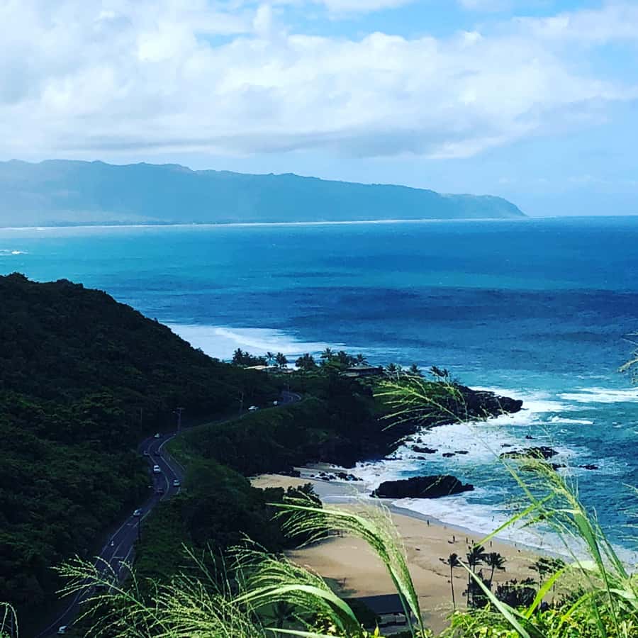Pearl Harbor and Scenic Oahu Private Tour - North Shore stop-by-stop: Dole, Hale’iwa, and that food-market payoff