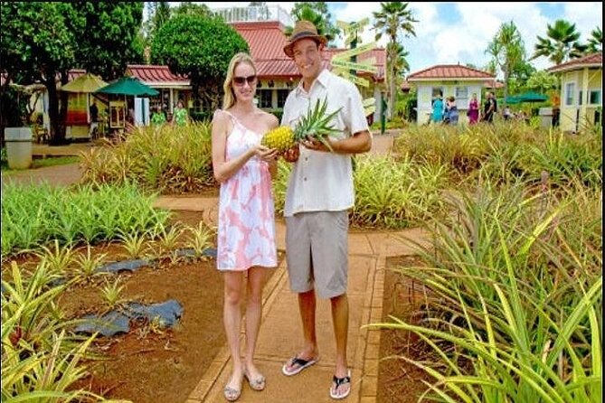 Pearl Harbor, Dole Plantation, and Polynesian Center from Kauai - Key points to know before you go