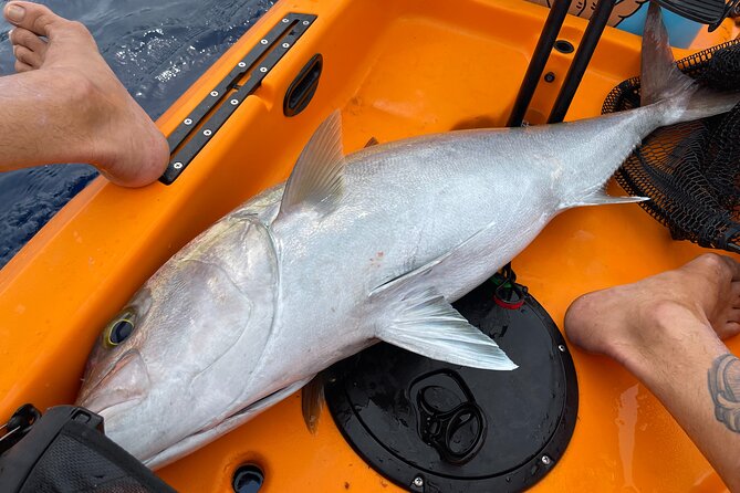 Pelagic Kayak Fishing Charter Lahaina - The kayak fishing setup they provide (and what you need to bring)