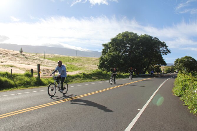 Predawn-Morning Haleakala Bike Tour 6,500 to Sea Level - Safety, Speed, and Tips: The Part You Should Plan For