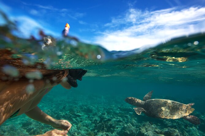 Premium Oahu Circle Island Tour – Small Group, No Crowds - North Shore lunch at Fumi’s: plan around shrimp (and have a backup)