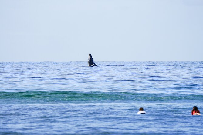 Private 2 hour Surf Lessons with Experienced Coaches - The 2-Hour Plan: Land Basics, Then 90 Minutes on the Water