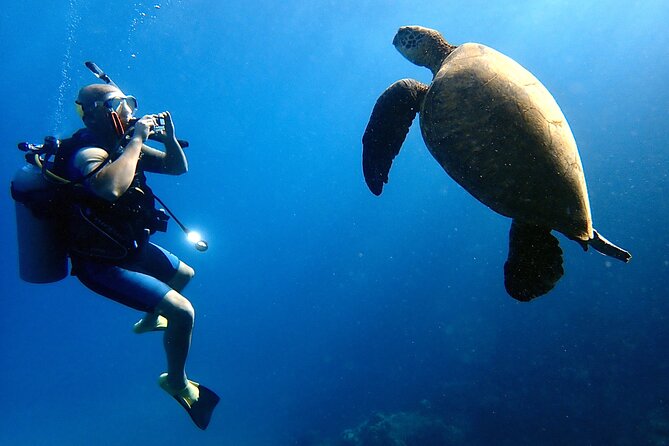 Private and Personalized Scuba Diving Adventures for All Experience Levels - Price and Value: What This $250 Per Person Gets You