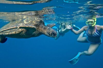 Private Beginner Paddleboard Lesson with Snorkel in Turtle Town - Beginner paddleboarding: step-by-step, not stress-by-stress