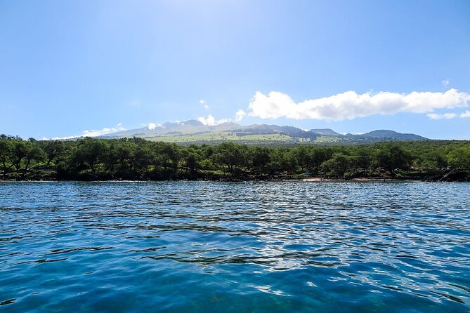 Private Beginner Paddleboard Lesson with Snorkel in Turtle Town - What you’ll wear (and the one mistake that costs sunglasses)