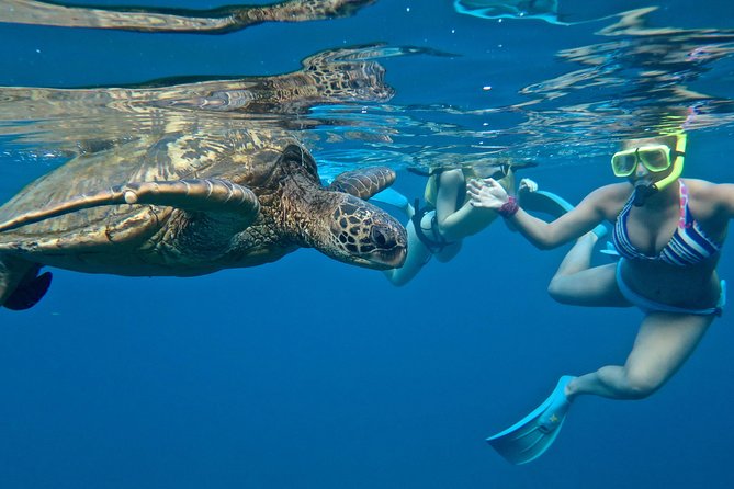 Private Beginner Paddleboard Lesson with Snorkel in Turtle Town - Beginner paddleboarding: step-by-step, not stress-by-stress