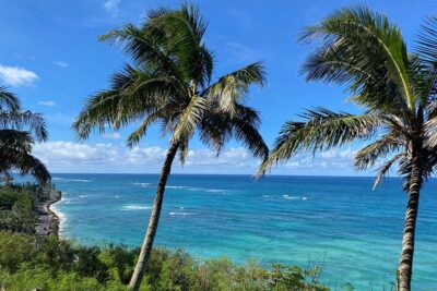Private Circle Island Off-the-Beaten- Oahu Tour - Getting picked up and staying on time (without stress)