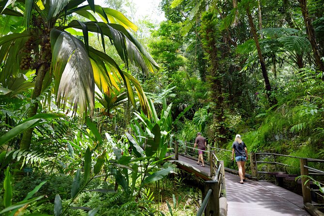 Private Circle Island Off-the-Beaten- Oahu Tour - The biggest drawback to watch for: wish lists vs. reality