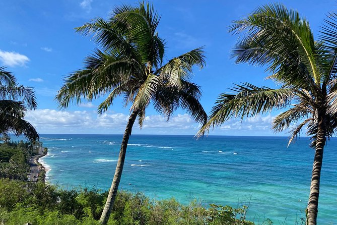 Private Circle Island Off-the-Beaten- Oahu Tour - Getting picked up and staying on time (without stress)