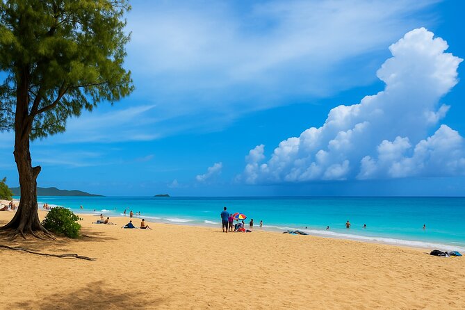 Private Circle Island Tour North Shore and East Side - A Private Circle Island Day on Oahu That Feels Like Your Own