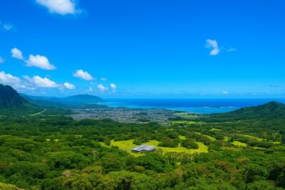 Private Circle Island Tour North Shore and East Side - Price and Value: What $395 Buys You (and What It Doesn’t)