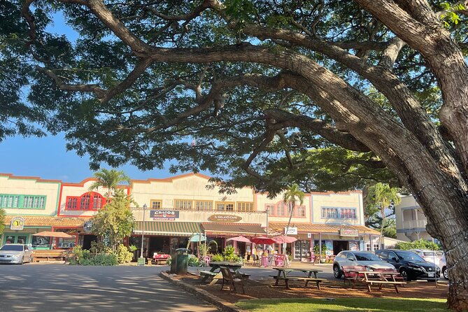 Private Circle Island Tour North Shore and East Side - Stop 3: Waimanalo Beach for a Real Break, Not Just a Photo Stop