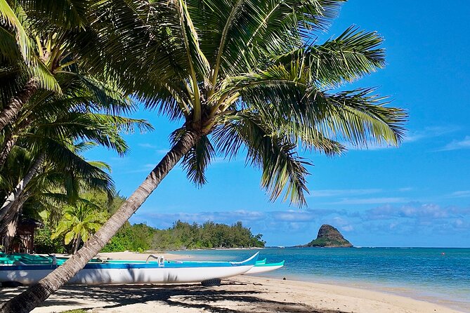 Private Circle Island Tour-Oahu-Customizable - What makes this Circle Island tour feel different