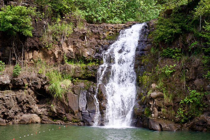Private Circle Island Tour-Oahu-Customizable - Nu‘uanu Pali: the viewpoint with real historical weight