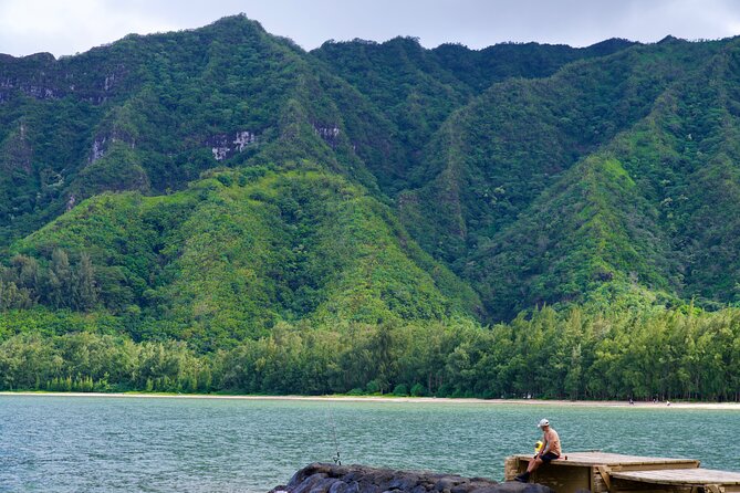 Private Circle Island Tour-Oahu-Customizable - Optional swaps: Dole, Waimea Valley, Manoa Falls, and more