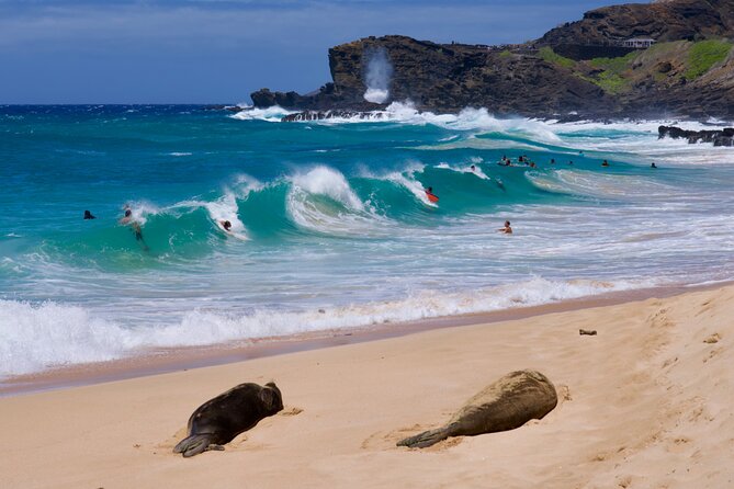 Private Circle Island Tour-Oahu-Customizable - Waikiki to Diamond Head: get your bearings fast