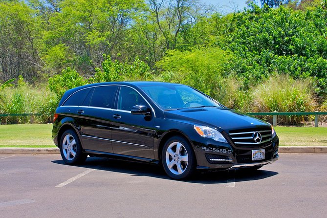 Private Departure Transfer: Oahu Hotels or Honolulu Cruise Terminal to Honolulu International Airport - Key Points You’ll Care About