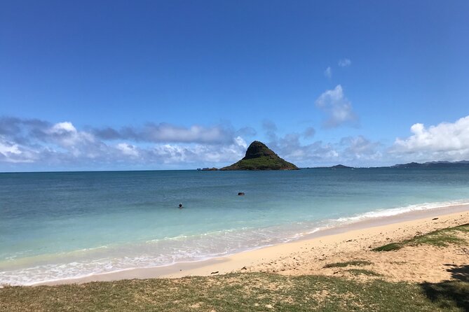 Private Full-Day Circle Island Guided Small-Group up to 6 (Se habla Español) - North Shore Energy: Sandy Beach, Haleiwa, Sunset, and Surf Watching