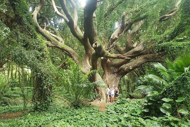 Private Full Day Maui Road to Hana Tour - Who this tour fits best (and who may prefer another style)
