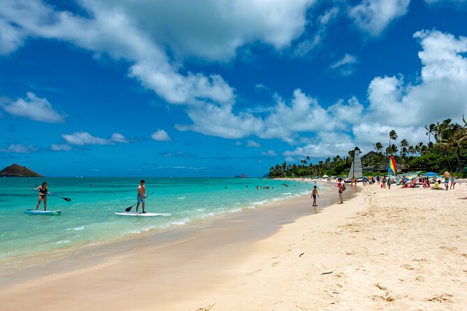 Private Green and Blue Circle Island Oahu Tour (se habla espanol) - Stop 2: Dole Plantation gardens and the pineapple ice cream break