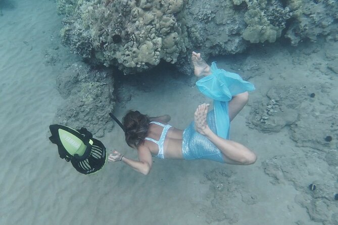 Private Guided Tours Beach Entry with Sea Scooters up to 5 guests - What you’ll see: turtles and tropical sea life, without the guesswork