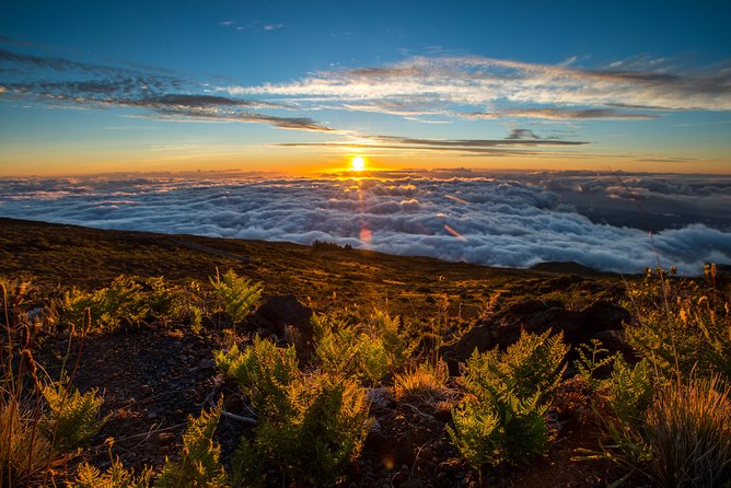 Private Haleakala Summit & Stroll from Kahului - Haleakalā Visitor Center + Pa Ka’oao Trail: short walk, big payoff