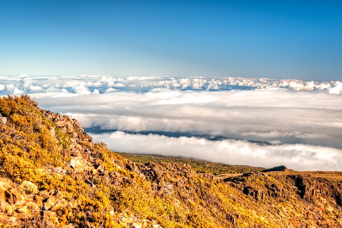 Private Haleakala Summit & Stroll from Kahului - Guides and flexible pacing: what private really changes