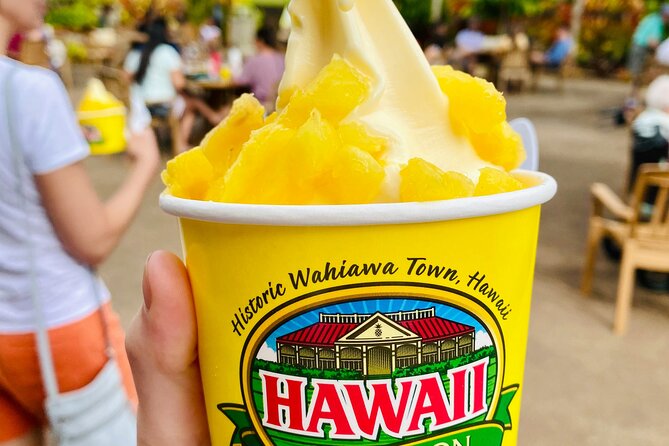 Private Half-Day Circle Island Highlights Tour in Oahu - Key highlights to know before you go
