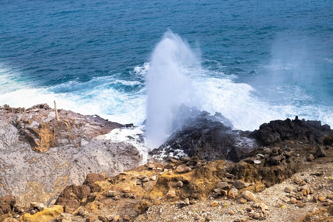 Private Half-Day Circle Island Highlights Tour in Oahu - Timing and pacing: half-day energy, not a full-day circuit
