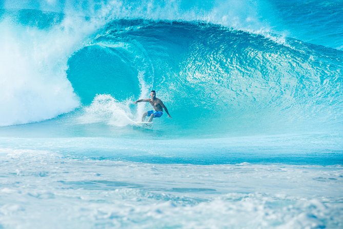 Private North Shore of Oahu Tour - The “private” part is the real upgrade