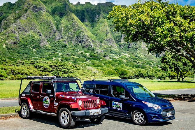 Private North Shore of Oahu Tour - Haleiwa town and North Shore beach energy