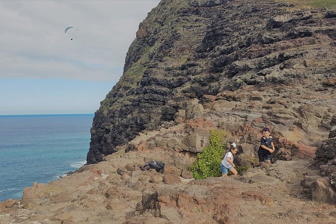 Private Oahu Circle Island Tour - Oahu’s North Shore: Surf Breaks, Possible Turtles, and Seasonal Vibes