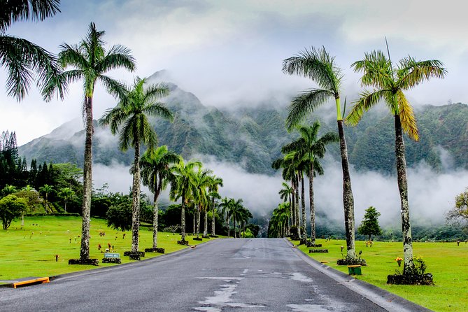 Private Oahu Van Tour - Nu‘uanu Pali: windy lookout views and a battlefield site