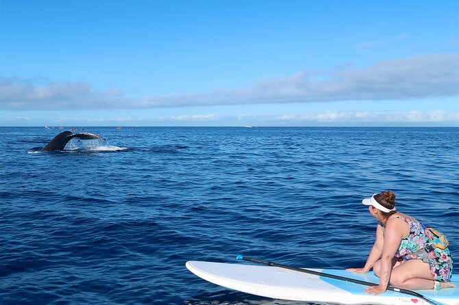 Private Paddleboard (SUP) Whale Watch: All Skill Levels Welcome - Private tour means real pacing for mixed skill levels