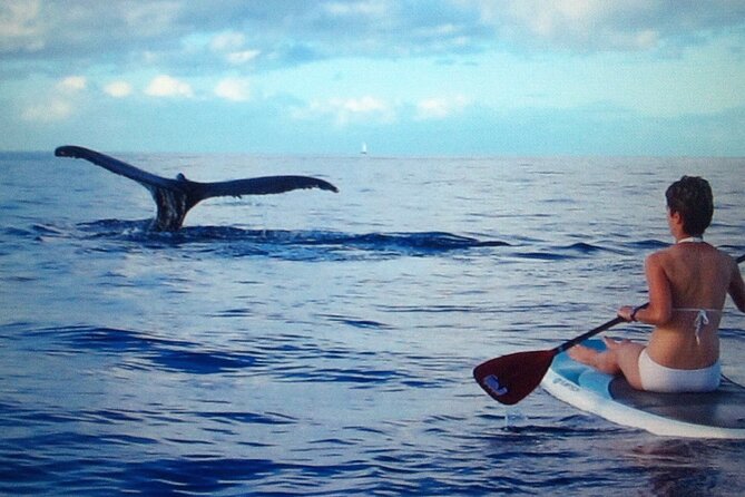 Private Paddleboard (SUP) Whale Watch: All Skill Levels Welcome - Makena Landing Park: your start, your staging, your first strokes