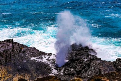 Private Pearl Harbor and Scenic Oahu Tour - The North Shore Choice: Dole, Haleiwa, and Coastline Photo Stops