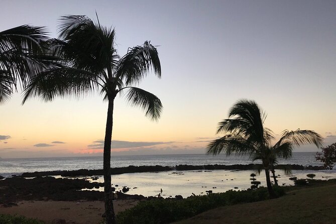 Private Pearl Harbor & North Shore tour (Se habla Español) - How this private 8-hour day stays smooth