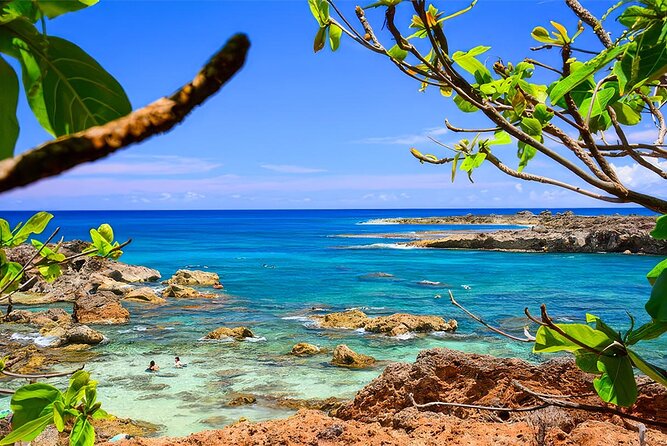 PRIVATE Premium Circle Island Tour (12 Stops) - Shark’s Cove: short time near snorkel-ready waters