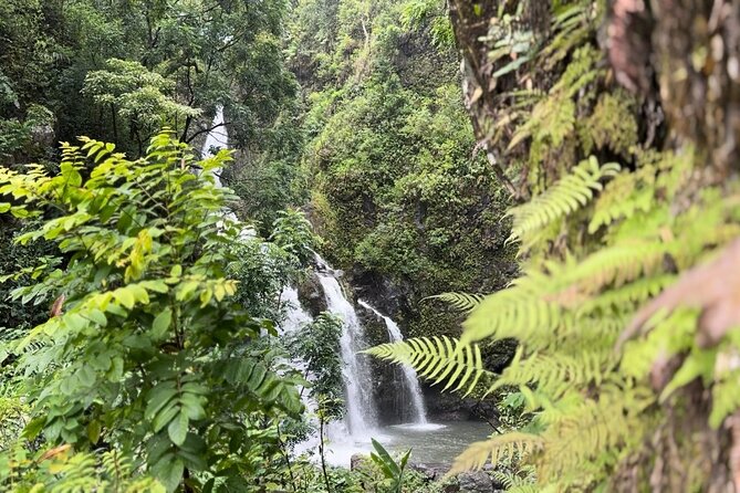 Private Road to Hana Maui Open-Air Jeep Tour - Open-Air Comfort: Water, Snacks, and a Pace That Works for Kids