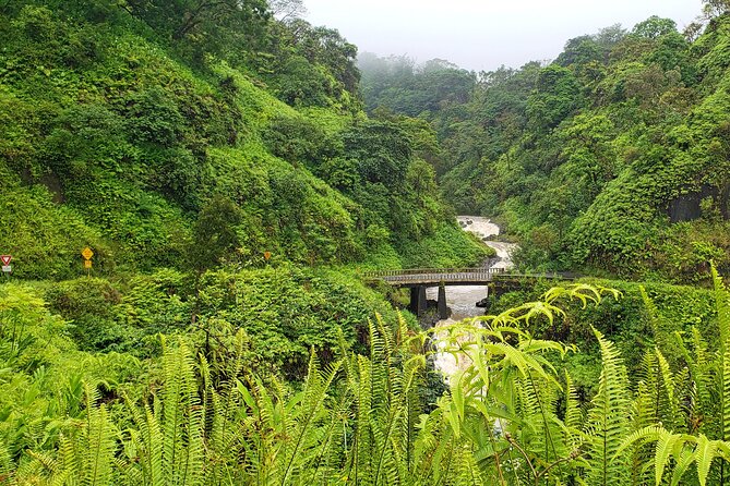 Private Road to Hana or any Maui destination in Luxury Mercedes Sprinter - The day’s rhythm: built-in nature stops, not a sprint