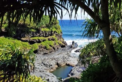 Private Road to Hana or any Maui destination in Luxury Mercedes Sprinter - Olivo Farms and the Doon Valley view: a calm break with real atmosphere