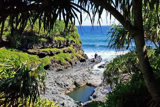 Private Road to Hana or any Maui destination in Luxury Mercedes Sprinter - Olivo Farms and the Doon Valley view: a calm break with real atmosphere
