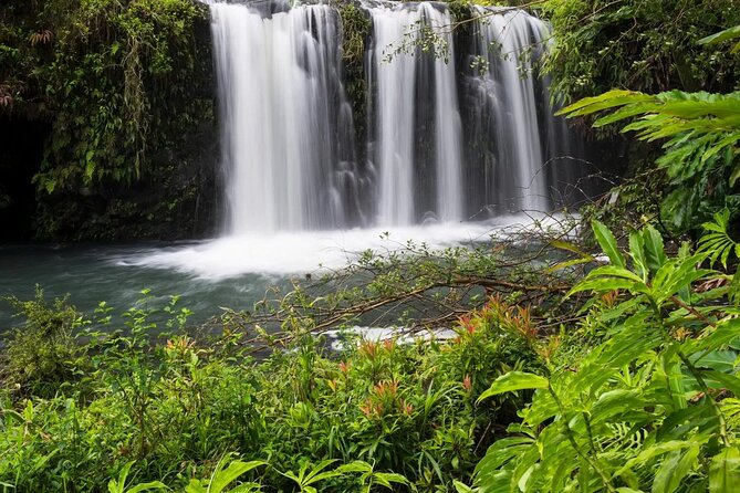 Private Road to Hana Rainforest & Waterfall Experience from Maui - Key Highlights You’ll Feel All Day