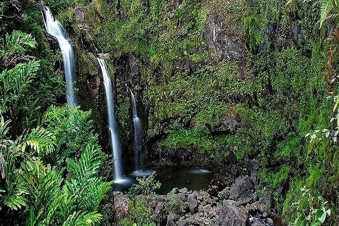 Private Road to Hana Rainforest & Waterfall Experience from Maui - A Private Hana Day Starts at 6:00 am (and Why That Matters)
