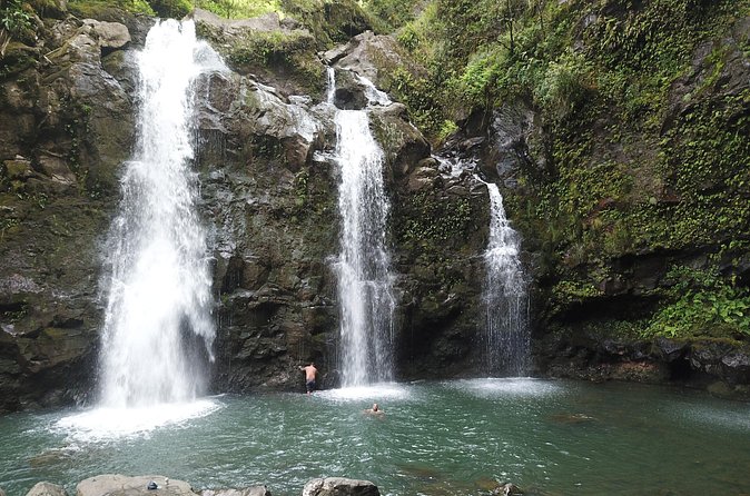 PRIVATE Road to Hana Tour - Waikamoi Ridge Trail: a short walk and a waterfall view