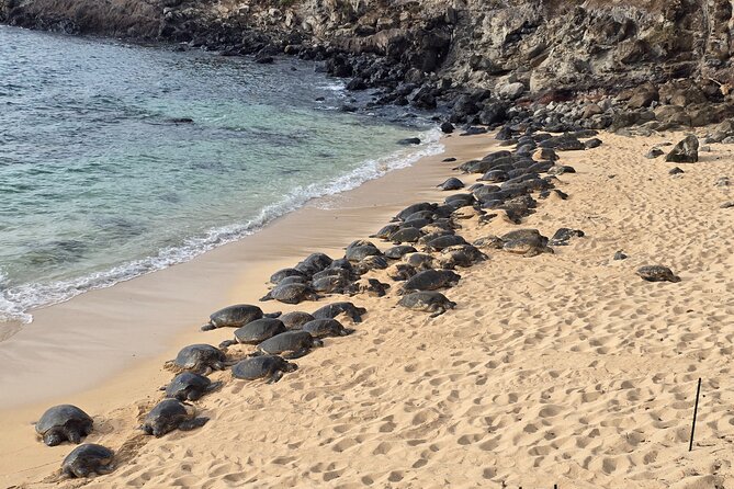 Private Road to Hana Tour with Pickup - Key highlights you’ll feel right away