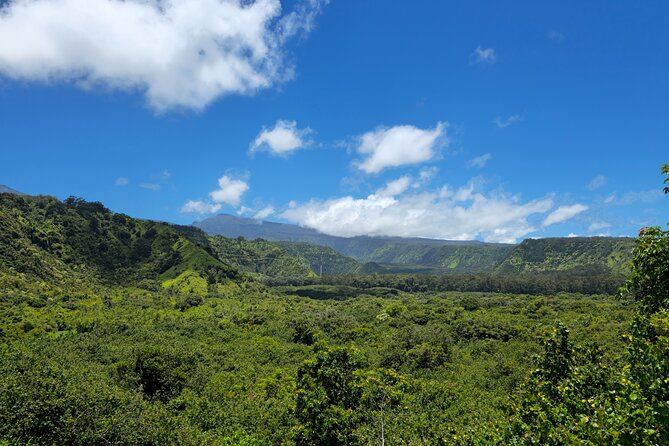 Private Road to Hana Tour with Pickup - Pua’a Ka’a State Park: The Swim-If-You-Can Natural Pools Stop