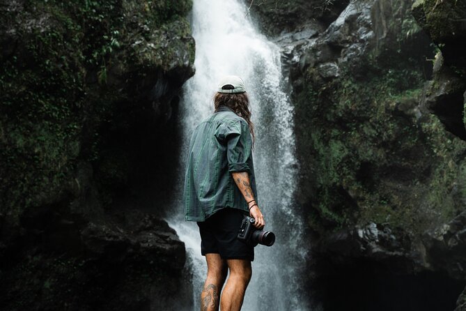 Private Road To Hana Tour with Professional Photos Included - Value math: does $650 per person make sense?